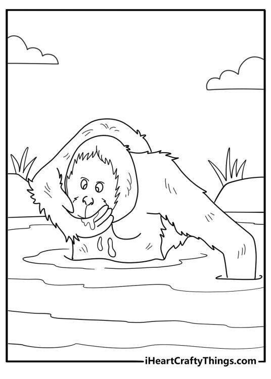 orangutan drinking water from a river coloring sheet