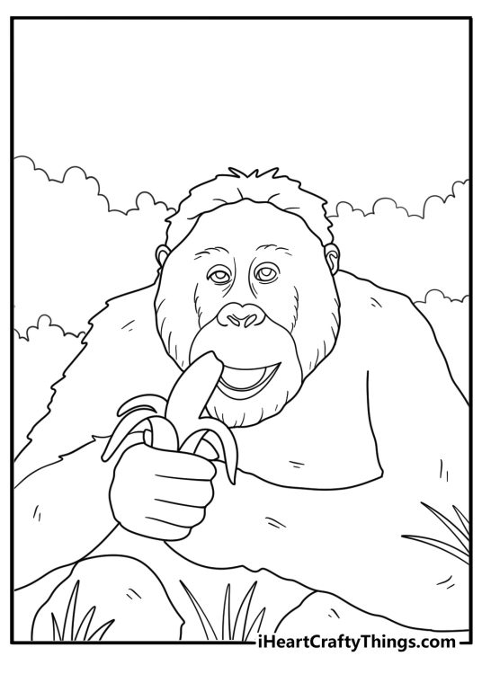 orangutan eating fruit detailed jungle coloring page
