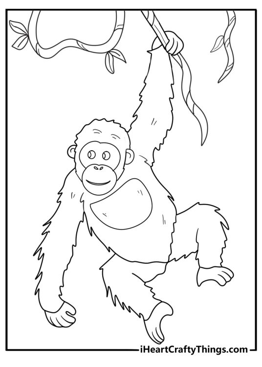 orangutan holding onto vines rainforest scene coloring sheet