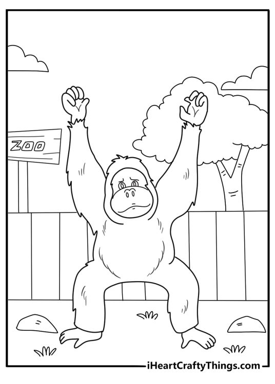 orangutan in a zoo habitat easy coloring page