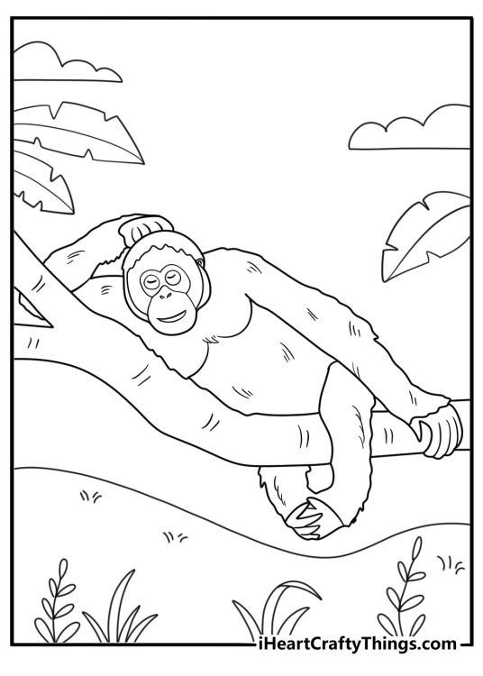 orangutan lying on a branch relaxing coloring sheet
