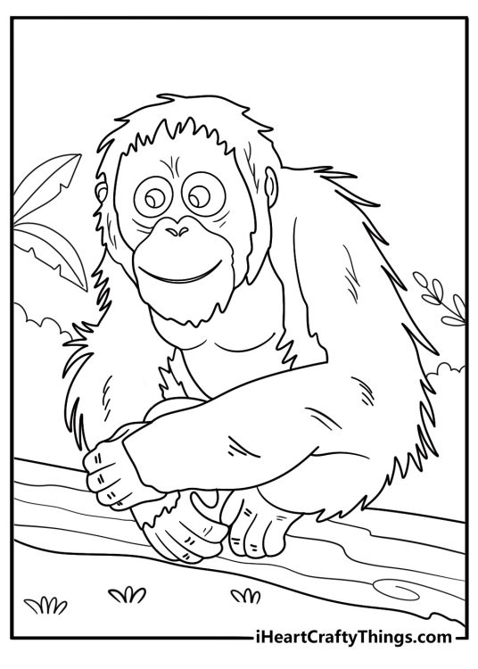 orangutan perched on a log rainforest background coloring sheet