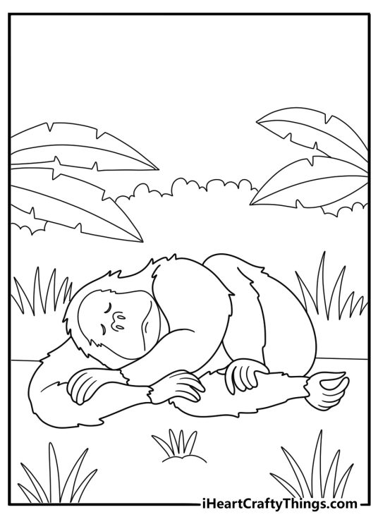 orangutan resting in the rainforest coloring page