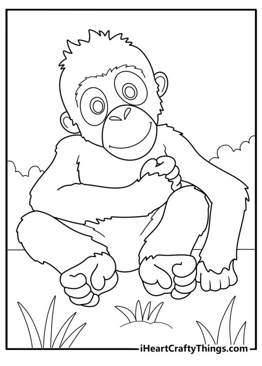orangutan sitting on the ground easy coloring page for kids