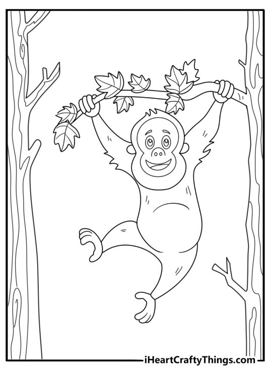 orangutan swinging between trees cartoon coloring page