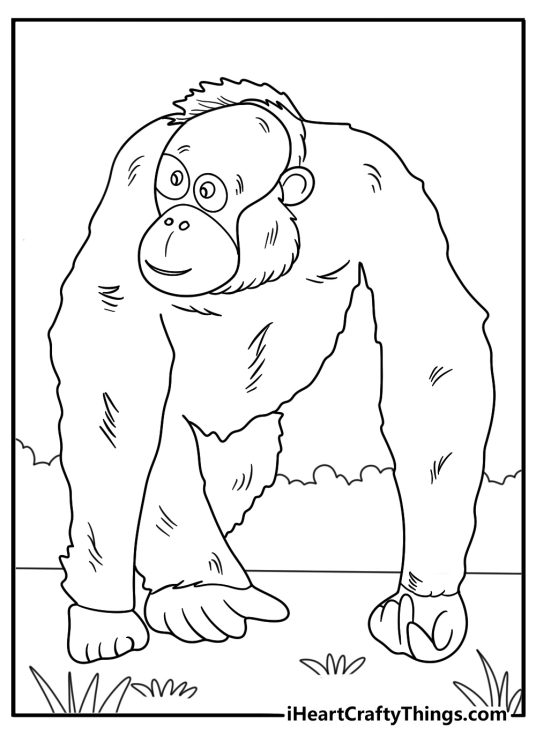 orangutan walking on all fours jungle background coloring page