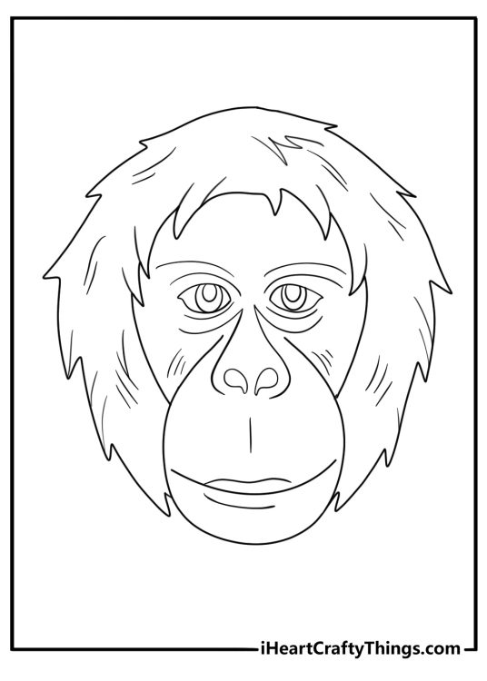 realistic orangutan face close up detailed coloring sheet for adults