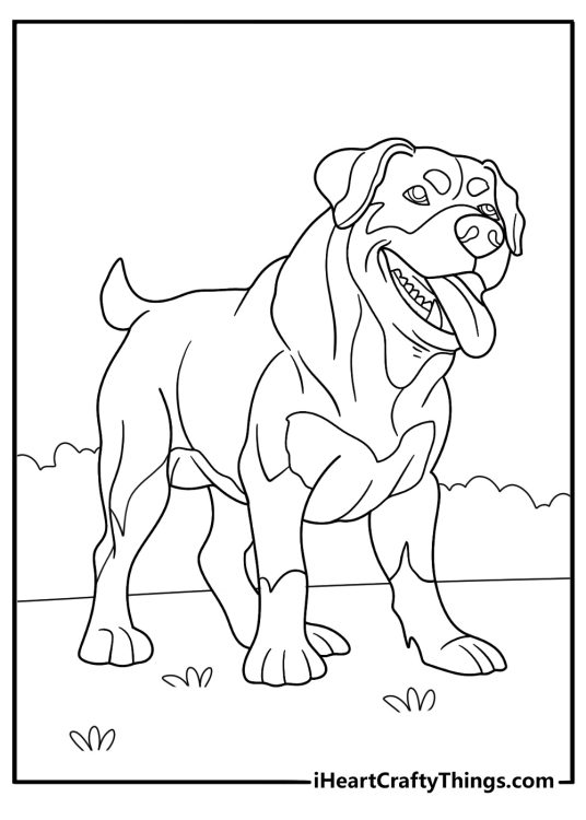 adult rottweiler standing strong detailed coloring sheet