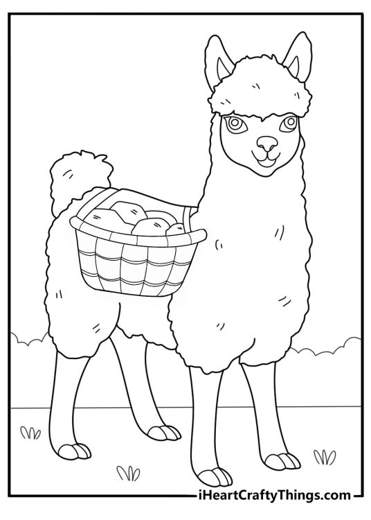 alpaca carrying baskets on its sides coloring sheet for kids
