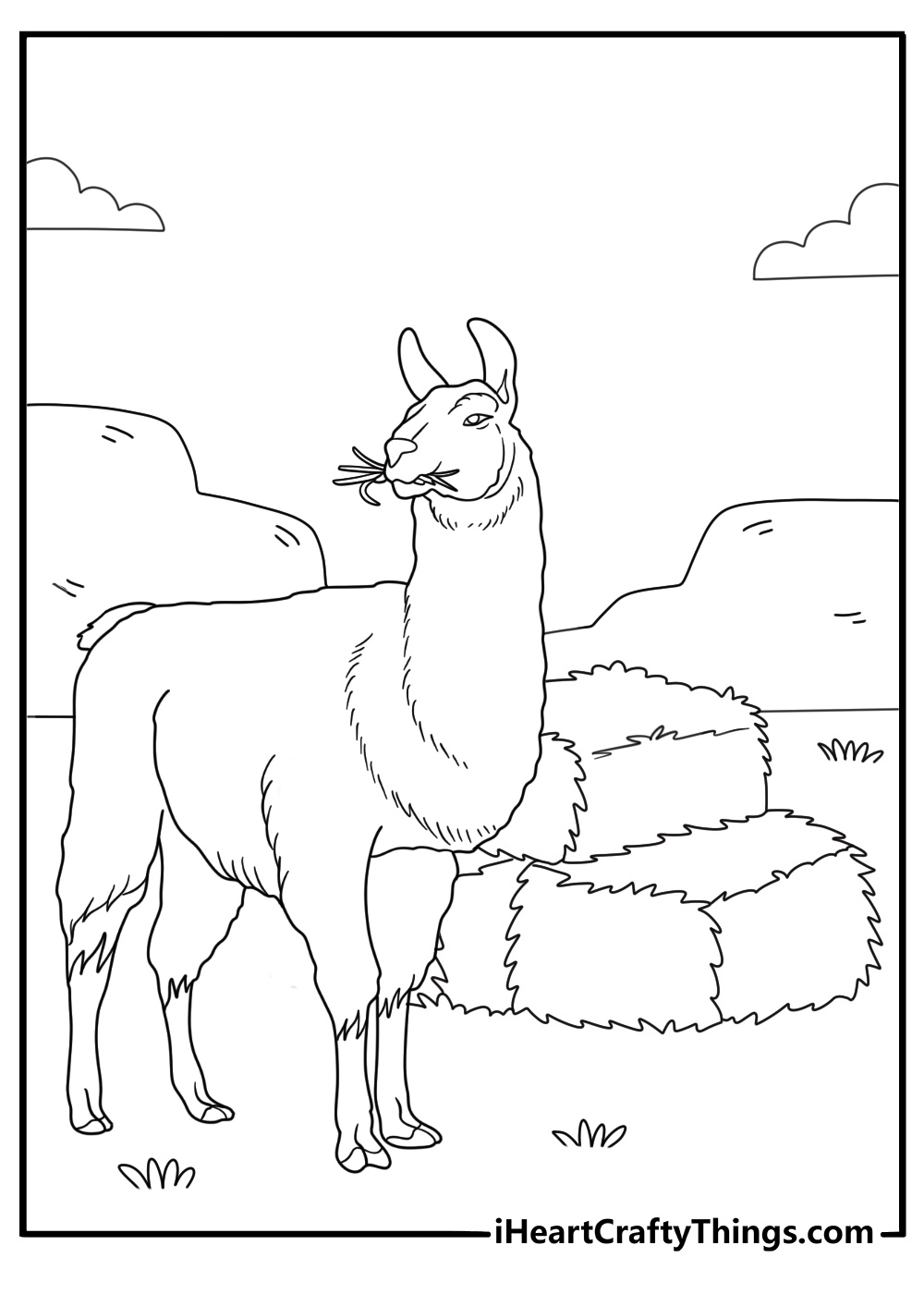 alpaca eating hay from a feeder coloring sheet for kids