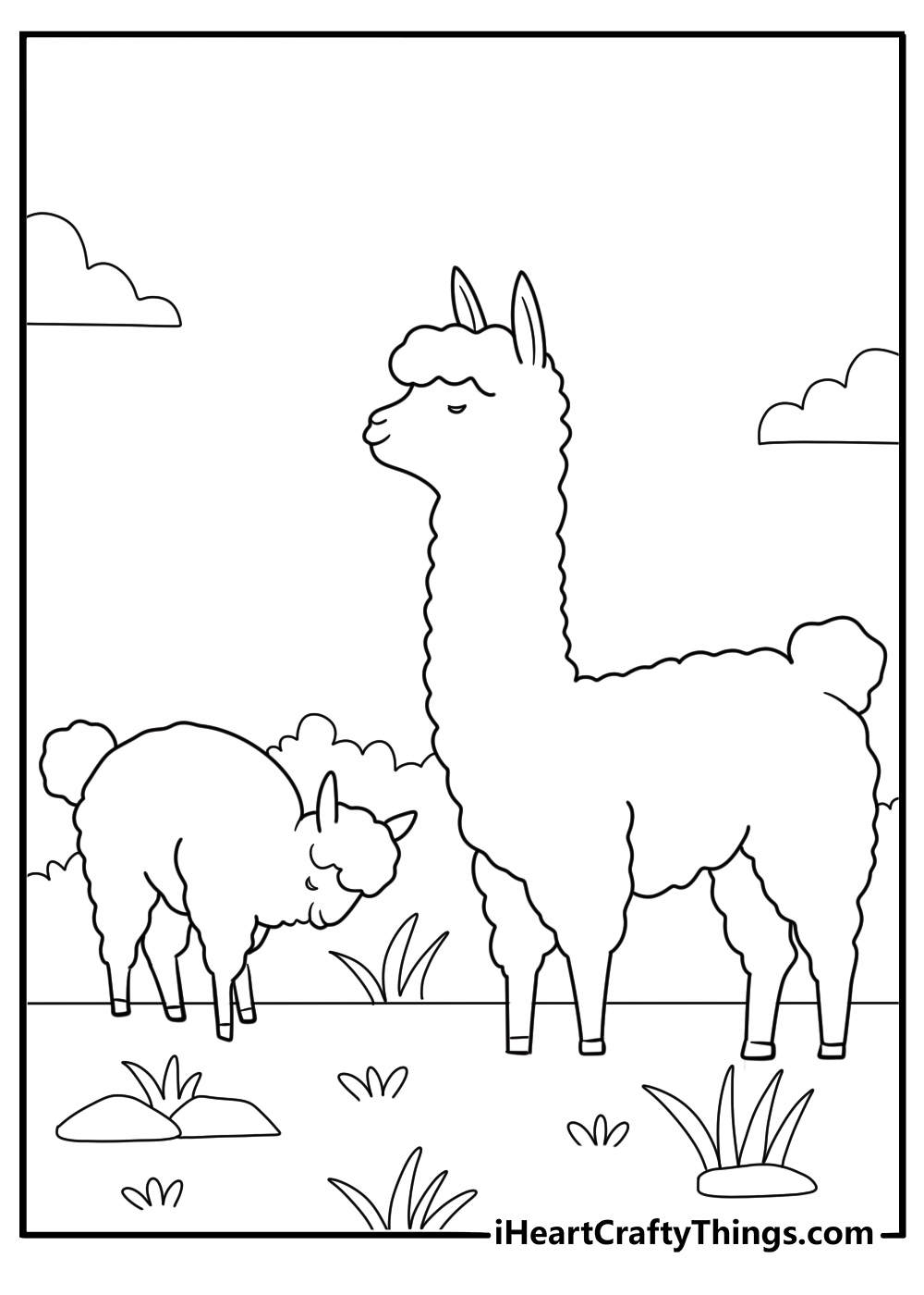 alpaca family together in a pasture coloring sheet
