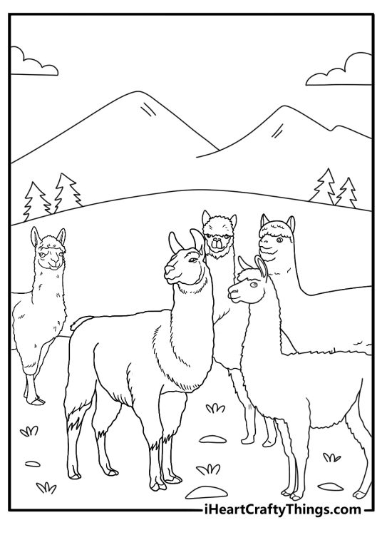 alpaca herd together in the mountains coloring sheet
