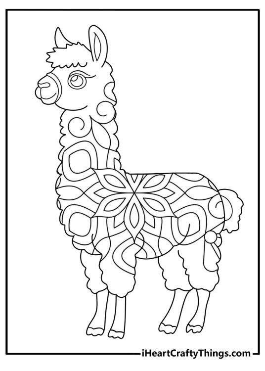 alpaca mandala style detailed coloring page for adults