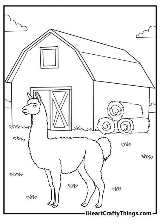 alpaca on a farm with barn background coloring page