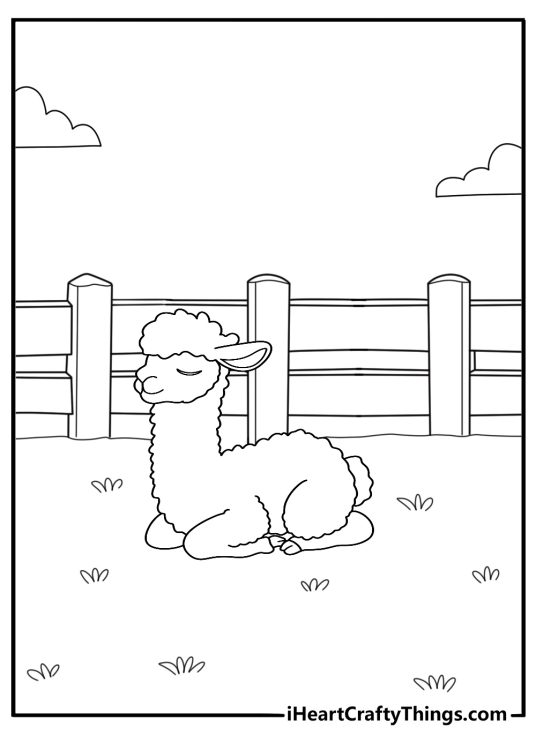 alpaca resting near a wooden fence easy coloring sheet