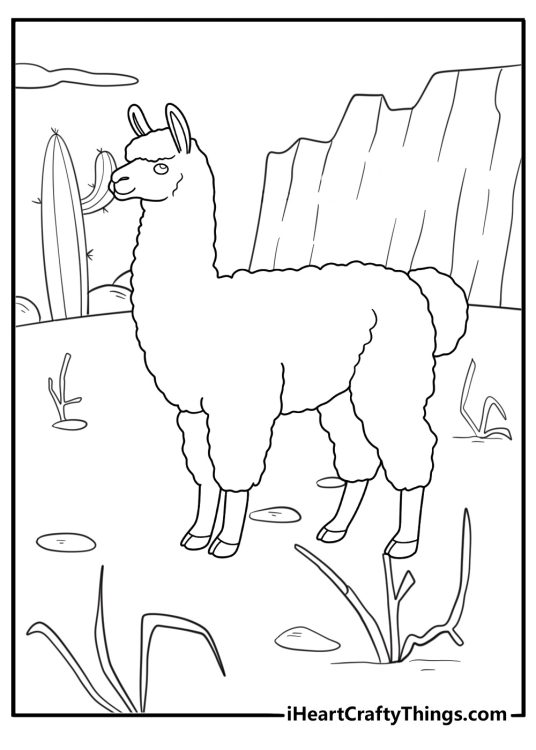 alpaca standing among cactus desert scene coloring page