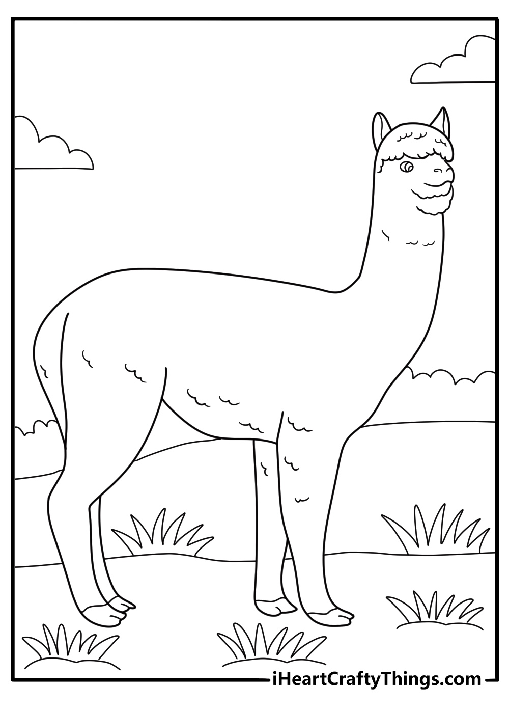 alpaca standing in a grassy field easy coloring page for kids
