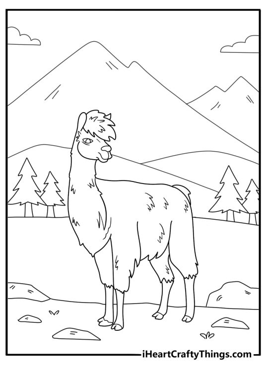 alpaca walking along a mountain trail simple coloring page