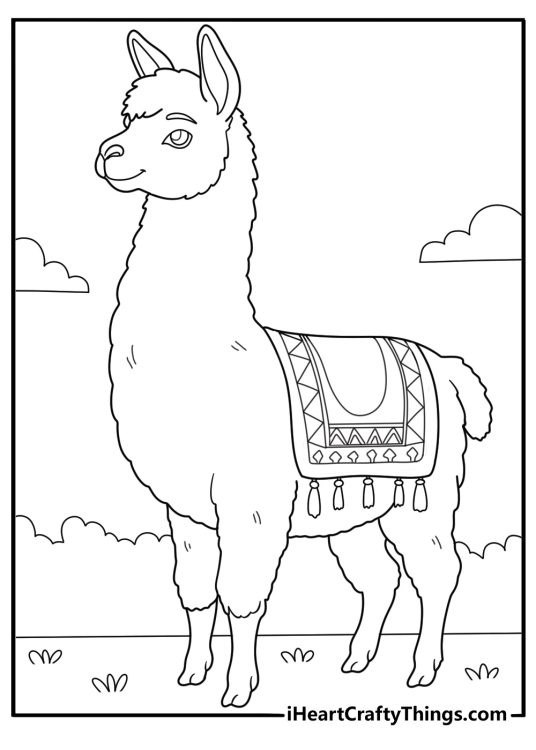 alpaca with patterned blanket on its back coloring page