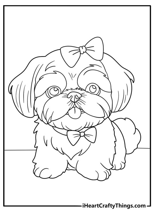 Shih Tzu Coloring Pages
