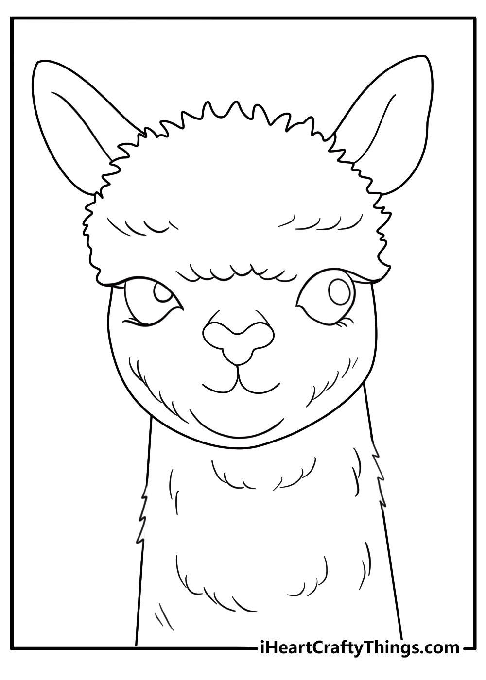 fluffy alpaca face close up detailed coloring sheet