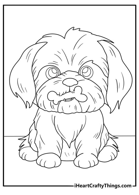 kawaii shih tzu holding a bone fun coloring page