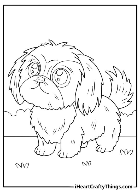 kawaii shih tzu with big eyes cute coloring page