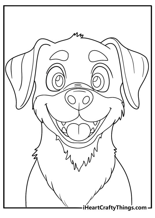 realistic rottweiler portrait detailed coloring page for adults