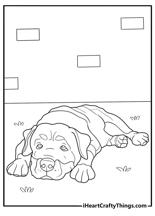 rottweiler lying down on the ground easy coloring sheet