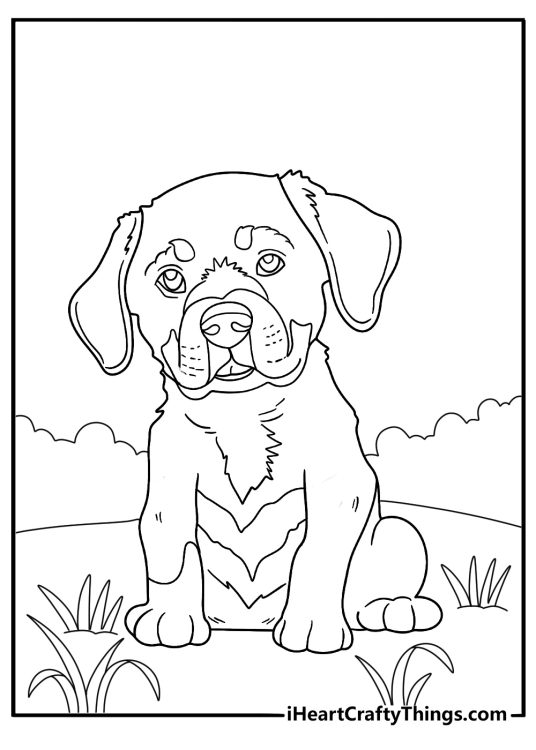 rottweiler puppy sitting on the grass easy coloring page for kids