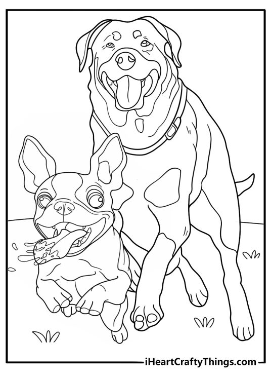 rottweiler running with other dogs fun coloring sheet