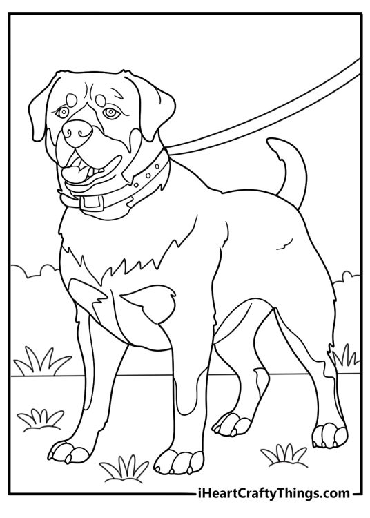 rottweiler walking on a leash easy coloring page
