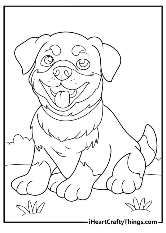 rottweiler with tongue out fun coloring page for kids