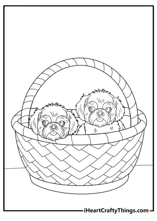 shih tzu in a basket easy coloring page for kids