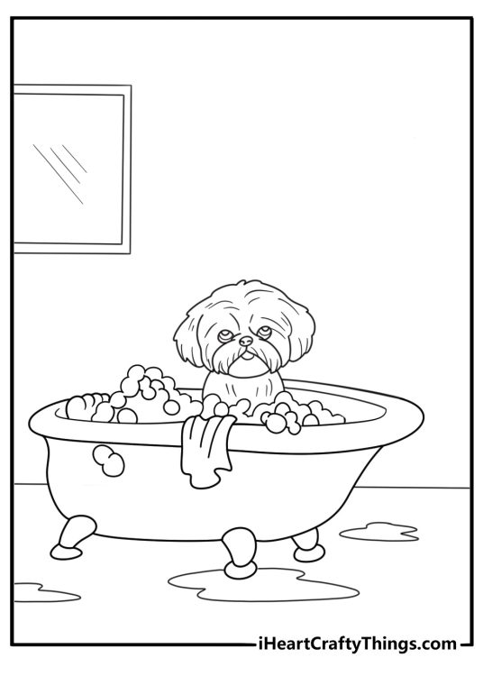 shih tzu in a bathtub with bubbles fun coloring sheet