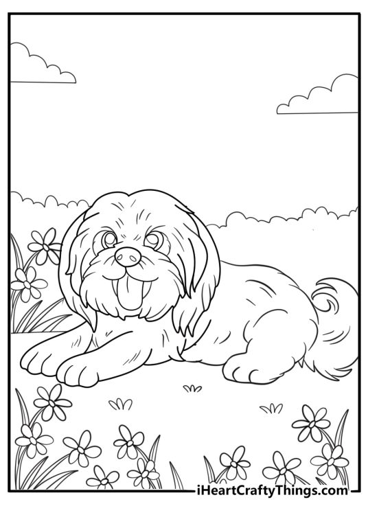 shih tzu lying in the garden detailed coloring page