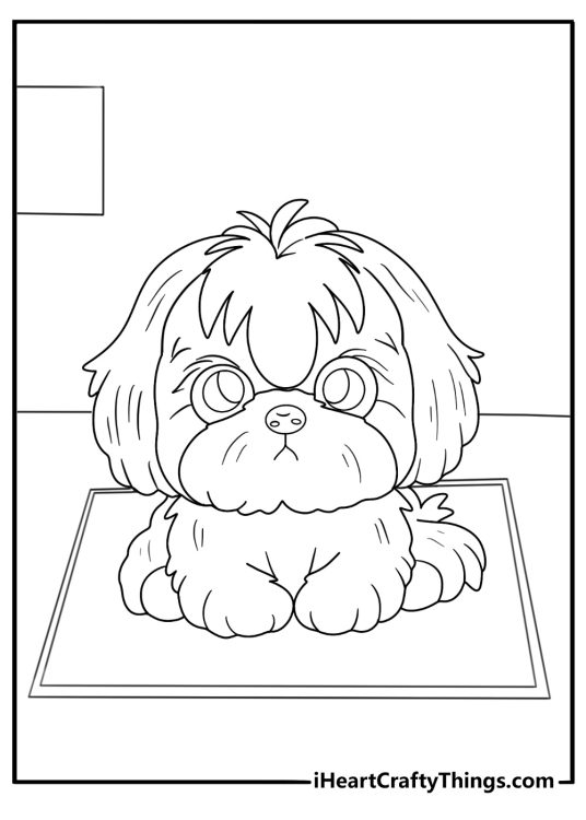shih tzu lying on a rug easy coloring sheet for kids