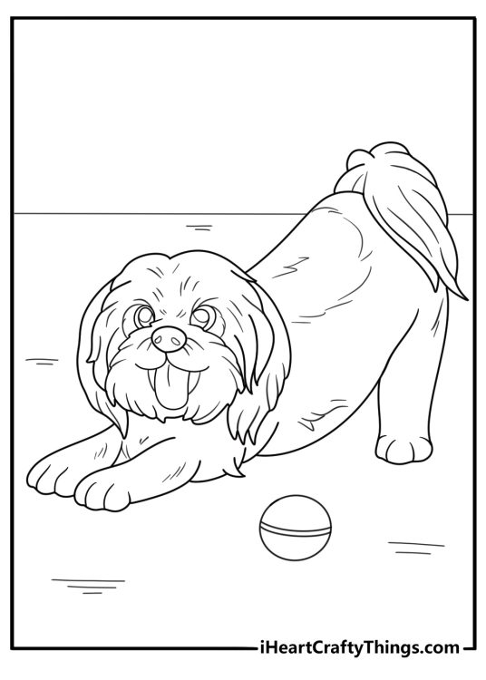 shih tzu puppy playing with a ball simple coloring sheet