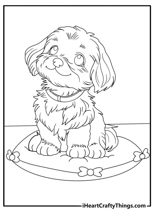 shih tzu puppy sitting on a cushion easy coloring page for kids