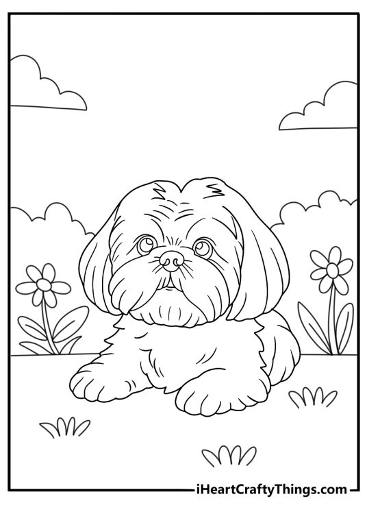 shih tzu resting near flowers simple coloring sheet