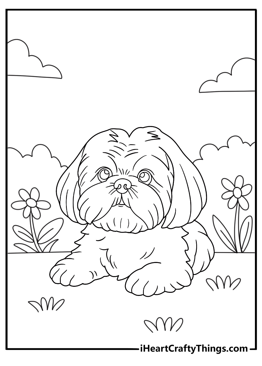 shih tzu resting near flowers simple coloring sheet