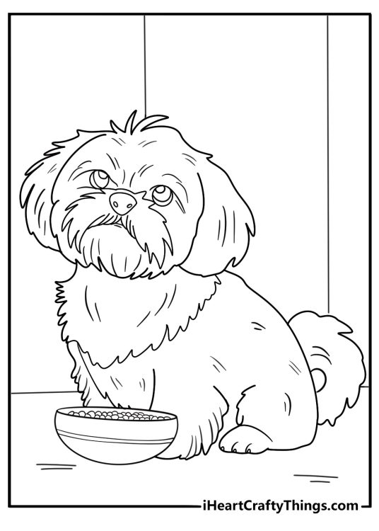 shih tzu sitting next to food bowl printable coloring sheet