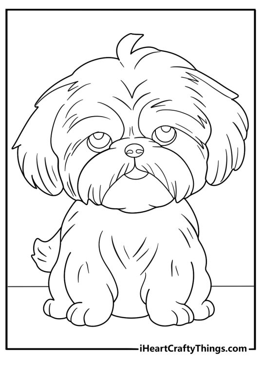 shih tzu with short haircut cartoon coloring page