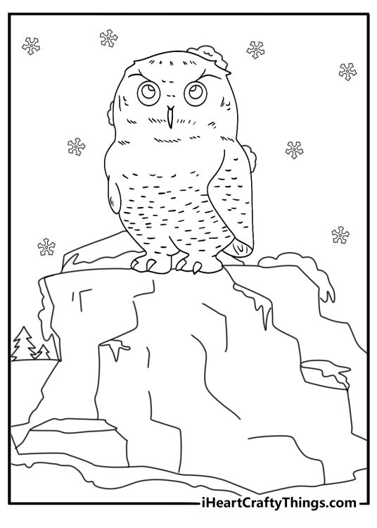 Detailed snowy owl coloring page for adults standing on tundra rock pdf