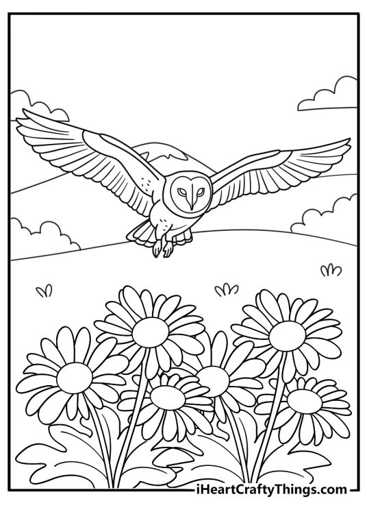 Owl coloring page pdf barn owl gliding over meadow printable