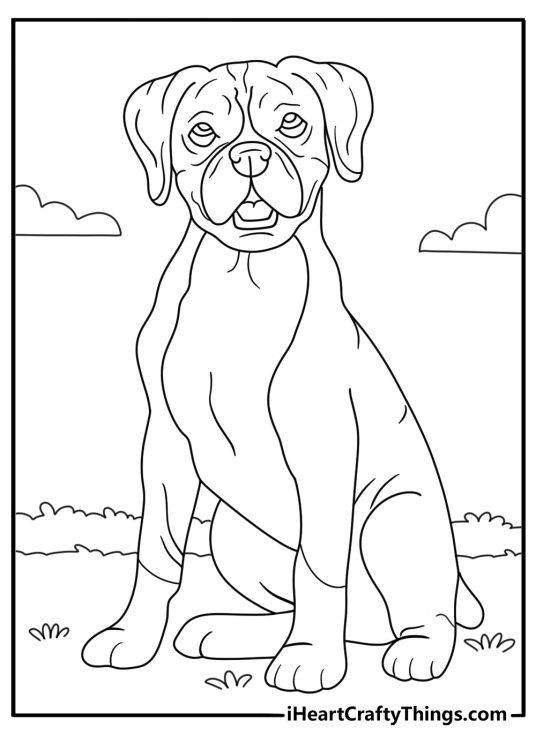 Boxer with natural floppy ears in backyard easy coloring page