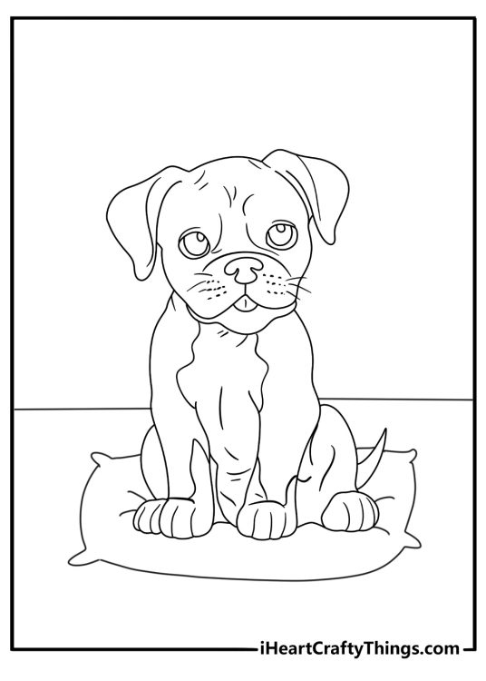 Cute boxer puppy sitting on a cushion simple coloring sheet for kids