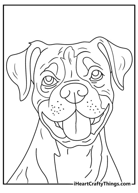 Boxer Dog Coloring Pages (20 Free PDF Printables)