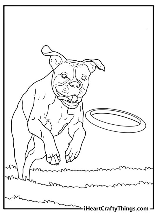 Playful boxer catching flying disc in park fun coloring sheet