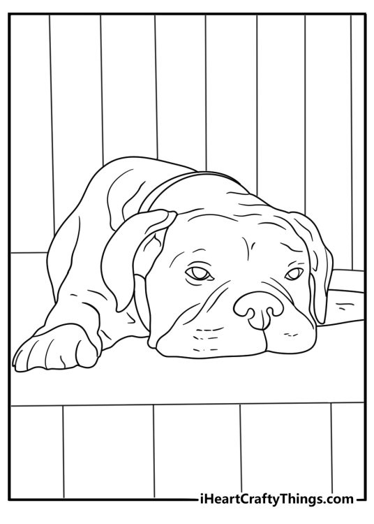 Senior boxer with gray muzzle resting on porch printable coloring page